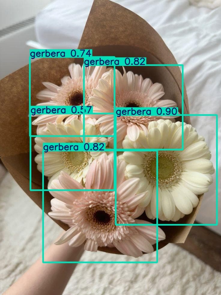 Hanamory: Yolov5 꽃다발 인식 서비스